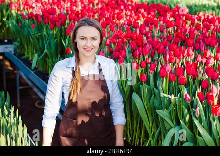 Woman gardener dressed in working uniform, smiling looking at camera, standing in big greenhouse. Industrial cultivation of flowers Stock Photo