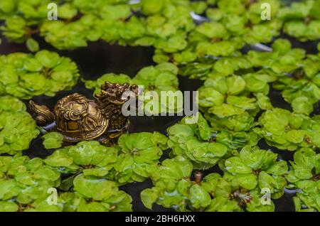 Dragon figure in a pond with green leaves. Decorative dragon in a pond outdoors. The design of a pond or pond. Landscaping of the reservoir. Close-up. Stock Photo