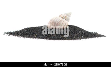 Volcanic ocean sand with shells isolated on white background Stock Photo
