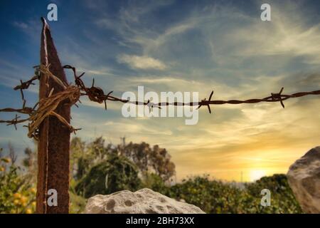 Barbed wire and rusty metal fence post in a field Stock Photo