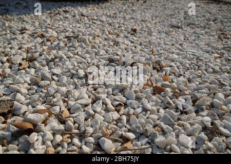 White pebble stone texture for background. The texture of brown gravel stones. Stock Photo