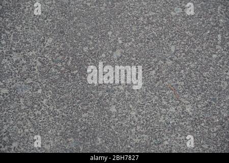 Gray Cement Gravel texture. Abstract background, Gravel texture or gravel background. Granite gravel of macadam, Rock gray crushed for construction on Stock Photo