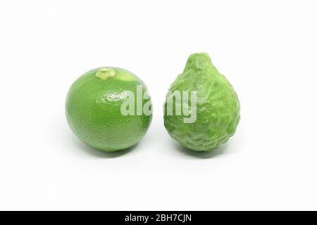 Fresh green Kaffir bergamot and lime fruit isolated on white background, two fruits are important ingredient of food in Asia. Stock Photo