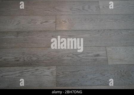 Detailed Natural Wooden Texture or Background. Floor tile with grain across in gray and brown tones. Porcelain tile with imitation of multi-colored wo Stock Photo
