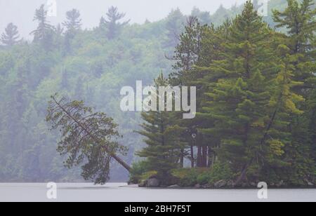 Summer on a rainy day on Opeongo lake in Algonquin Park, Canada Stock Photo