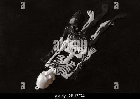 Top view of two skeleton toys making love, isolated on black background. Black and white, interracial relationship concept. Copy space Stock Photo