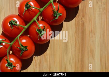 Cherry tomatoes on vine, with copy space Stock Photo