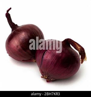 two heads of red onion isolated on white background Stock Photo