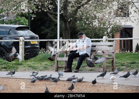 Coronavirus outbreak, Elderly man in face mask feeding the pigeons, Barnes London Stock Photo