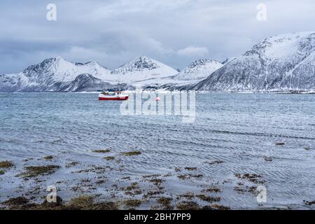 idyllic winter landscape on Sommarøy Archipelago idyllic winter landscape on Sommarøy Archipelago in northern Norway, near Tromsoe Stock Photo