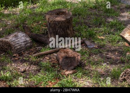 Ax on the grass floor. Lumberjack working tools for cutting wood. Rustic scene. Stock Photo