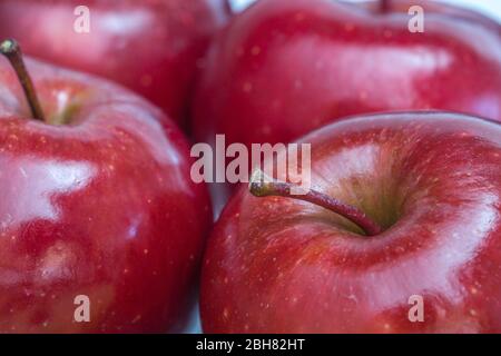 A close up showing the detail of fresh and organic, red, waxed apples that are shiny with the stalk showing and copy space Stock Photo