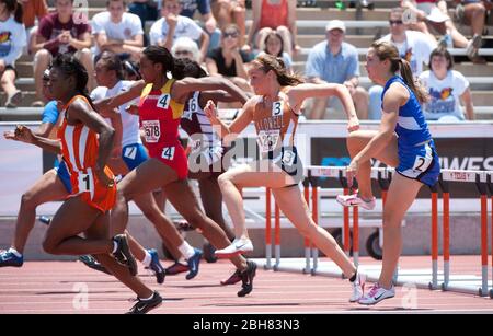 Austin Texas USA, June 6,2009: Track action in the girls 100-meter hurdles at the annual Texas high school state track championships at the University of Texas track stadium. ©Bob Daemmrich Stock Photo
