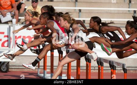 Austin Texas USA, June 6 2009: Girls 100-meter hurdles at the annual Texas high school state track championships at the University of Texas track stadium. ©Bob Daemmrich Stock Photo