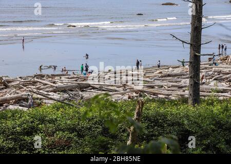 Timber liters Ruby Beach at Forks, Olympic National Park, Washington, United States Stock Photo