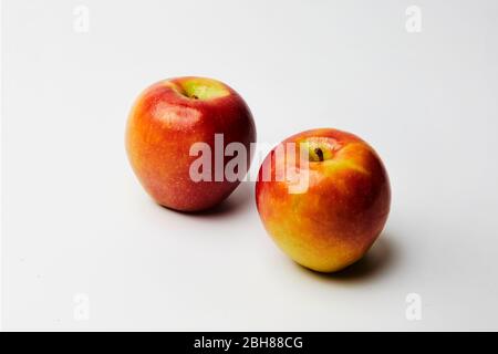 still life of two red apples on white background Stock Photo