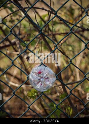 KIRKBY IN ASHFIELD, ENGLAND - APRIL 24: Plastic drinks bottle carelessly disposed of in wire fence, polluting the environment, UK. In Kirkby In Ashfie Stock Photo