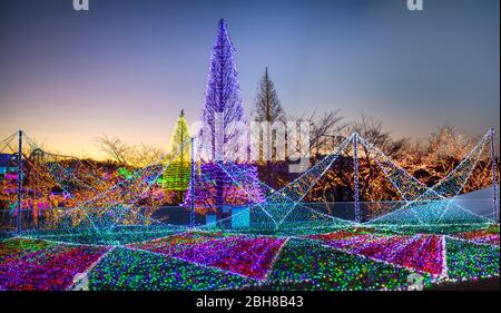 Japan, Tokyo City, Yomiuri Vergnügungspark Stock Photo