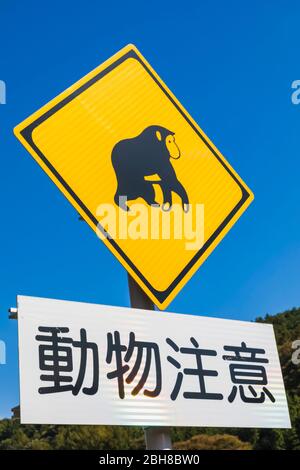 Japan, Honshu, Yamanashi Prefecture, Road Sign Warning of Monkeys on Highway Stock Photo