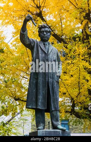 Japan, Honshu, Tokyo, Hibiya, Ueno Park, Statue of Hideyo Noguchi (1876-1928) Stock Photo