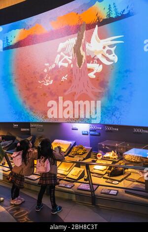 Japan, Honshu, Tokyo, Hibiya, Ueno Park, National Museum of Nature and Science, Children Looking at Exhibit of Historical Fossils Stock Photo