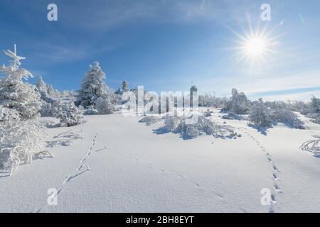 Fichtelberghaus and weather station, Fichtelberg, Oberwiesenthal, Erzgebirge, Erzgebirge, Erzgebirge, Saxony, Germany, Europe Stock Photo