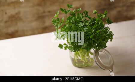 Close up of an open glass jar full of water with a spring of green parsley in kitchen on light wooden background, mediterranean cuisine Stock Photo