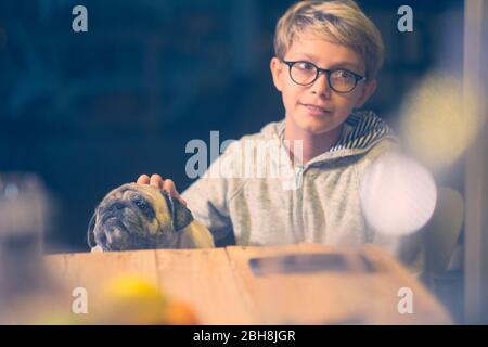 couple of friends young boy children and old nice pug sitting on the table together with happiness and joy - pet therapy and funny dog concept at home by night Stock Photo