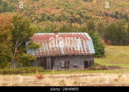 Canada, Nova Scotia, Mabou, old barn, autumn Stock Photo
