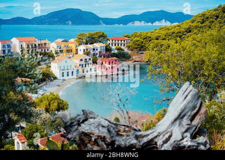 Assos village in Kefalonia, Greece. Calm blue bay water and colored traditional houses. Old snag in the front. Stock Photo