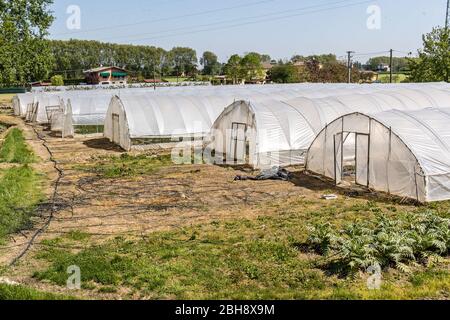 Ferrara, Italy. 22 April, 2020.  Greenhouses with fruits and vegetables in the “Casa di Stefano” (House of Stefano) recovery community in Ferrara, Ita Stock Photo