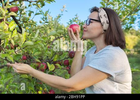 Woman gardener with freshly picked red apple in hand, background is tree with apples. Female eats natural, environmentally friendly apple grown in hom Stock Photo