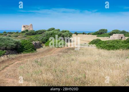 Italien, Mezzogiorno, Apulien / Puglia, Halbinsel Salento, Porto Cesareo, Naturpark Nardò Parco naturale regionale, Porto Selvaggio e Palude del Capitano, Küstenlandschaft Stock Photo