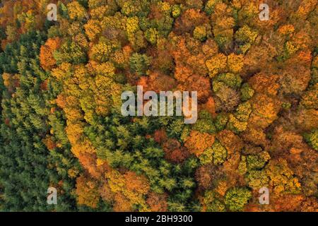 Aerial view of a woodland landscape in autumn at Kastel-Staadt, Saar Valley, Rhineland-Palatinate, Germany Stock Photo