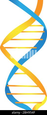 Isolated DNA chain Stock Vector Image & Art - Alamy