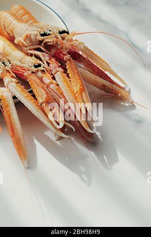 Luxury fresh raw langoustines. Close up on a white plate with copy space. Stock Photo