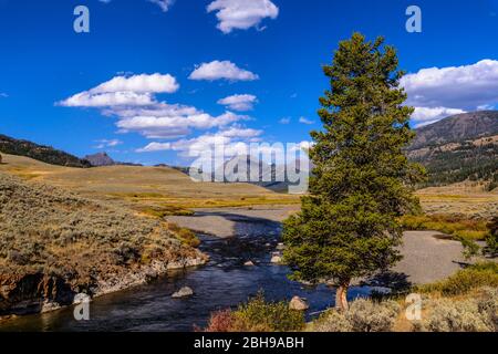 USA, Wyoming, Yellowstone National Park, Tower-Roosevelt, Lamar Valley, Soda Butte Creek Stock Photo