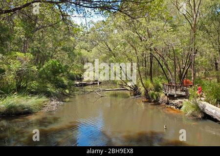 Margaret River in the town of Margaret River Western Australia Stock Photo