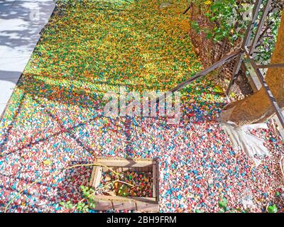 Multi colored gravel lies on the ground as a decoration Stock Photo