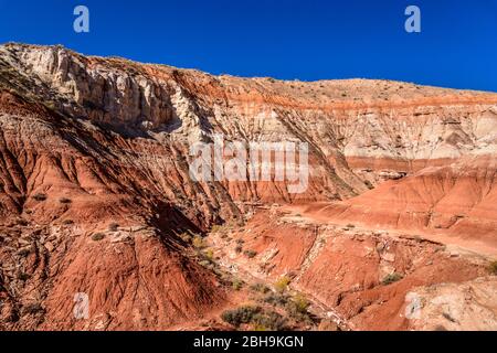 USA, Utah, Kane County, Kanab, Paria Rimrocks, Toadstools Trail Stock Photo