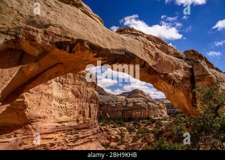 USA, Utah, Wayne County, Torrey, Capitol Reef National Park, Hickman Bridge gegen Capitol Dome Stock Photo