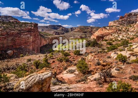 USA, Utah, Wayne County, Torrey, Capitol Reef National Park, Fremont River Valley, Blick am Hickman Bridge Trail Stock Photo