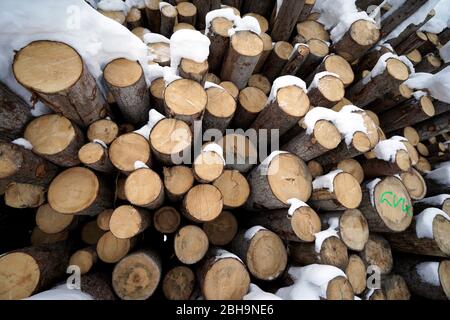 Austria, Tyrol, Stubaital, Neustift, stacked tree trunks, woodpile, roundwood, winter, covered with snow Stock Photo