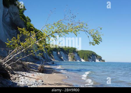 Chalk coast, beach, Jasmund National Park, Sassnitz, Ruegen island, Mecklenburg-Vorpommern, Germany, Europe Stock Photo