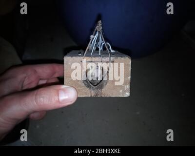 Mouse mouse. Mousetrap based on the gnawing of the thread. Stock Photo