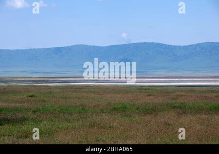 Landscape in the Ngorongoro crater in Tanzania Stock Photo