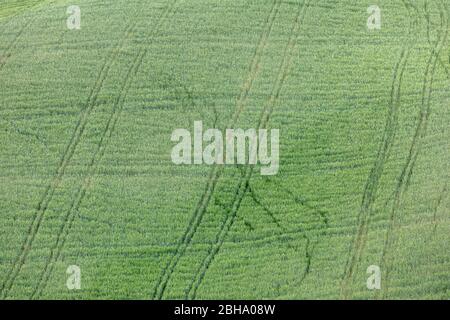 tracks on the lawns on the hills of the Crete Senesi, detail, Asciano, Siena, Tuscany, Italy Stock Photo