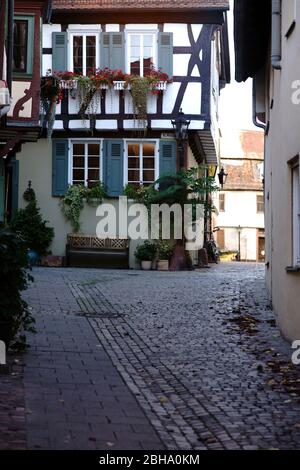 A narrow cobbled street in an old town with half-timbered houses.
