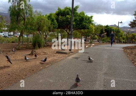 Spain. 23rd Apr, 2020. 40 days of lockdown in Tenerife. Daily life in Los Cristianos, Canary islands where some essential workers continue their jobs and people goes to supermarket to buy food despite lockdown. (Photo by Mercedes Menendez/Pacific Press/Sipa USA) Credit: Sipa USA/Alamy Live News Stock Photo