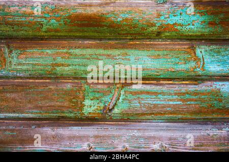 Old wooden board painted in green color with scratches and chips.
